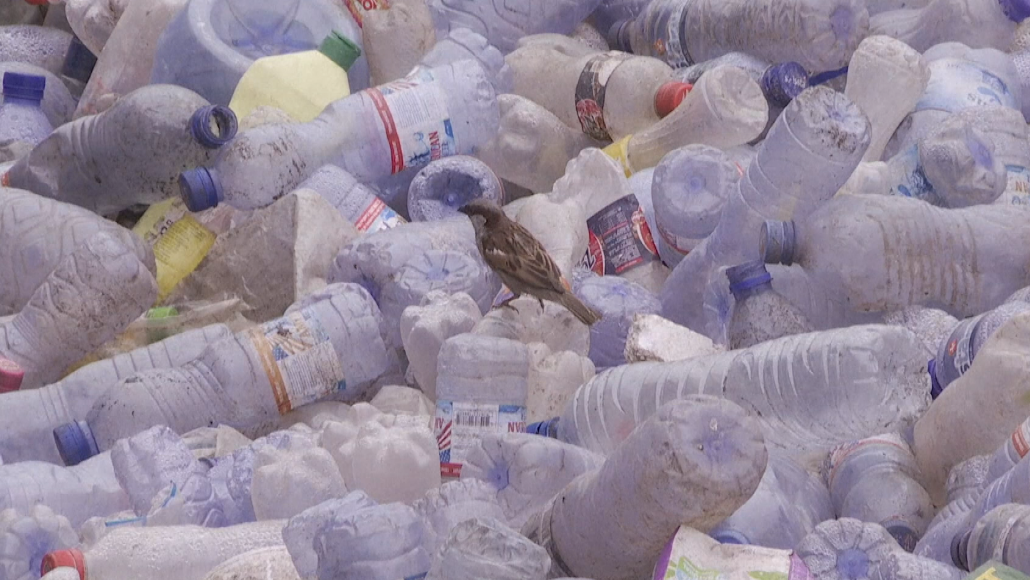 Couverture : Perturbateurs endocriniens : un rapport parlementaire met en garde contre les contenants en plastique