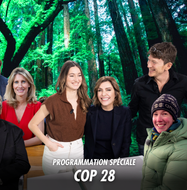 Programmation spéciale COP 28